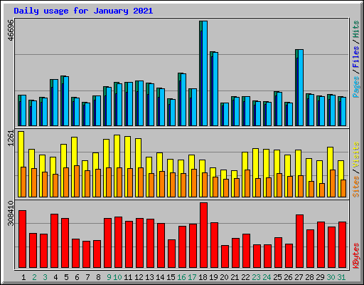 Daily usage for January 2021